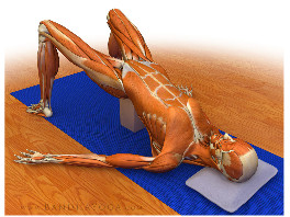 posture-bodhiyoga-500-hour-teacher-training