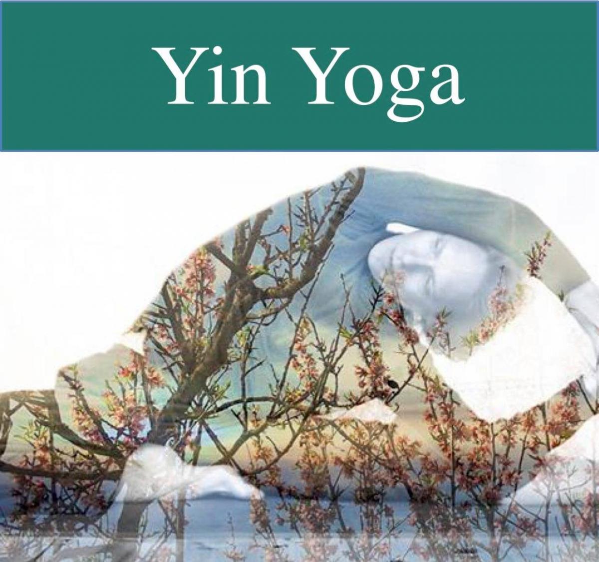 yin-yoga-sudaka-suryavana