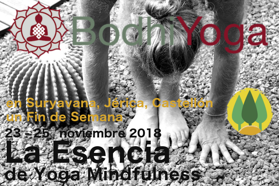 mindfulness-yoga-retiro-con-bodhiyoga